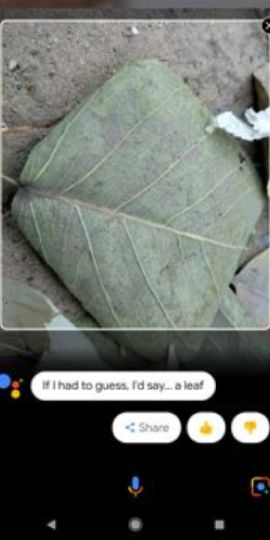Google Lens