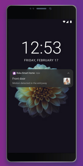 Roku Smart Home